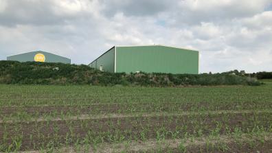 UNGEDÄMMTE LAGERHALLE, BRUCK AN DER LEITHA